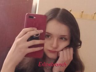 Erlinebranch