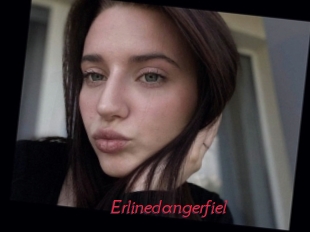 Erlinedangerfiel