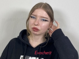 Evacherit