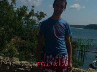 FELL1X123