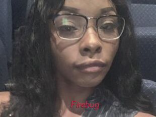Firebug