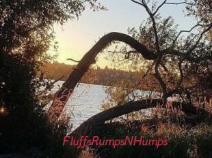 FluffsRumpsNHumps