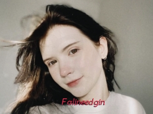 Falineedgin