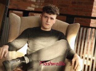 Flashwallis