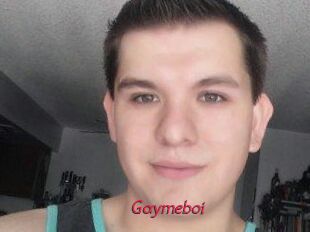 Gaymeboi
