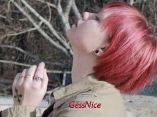 GessNice