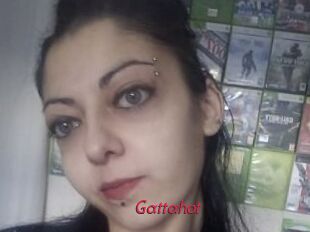 Gattahot