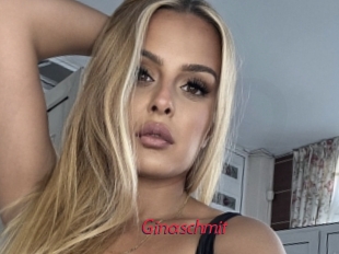 Ginaschmit