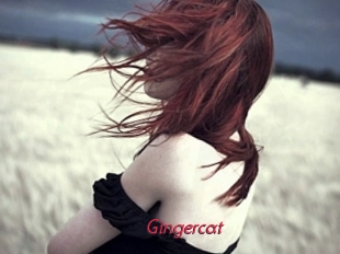 Gingercat