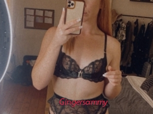 Gingersammy