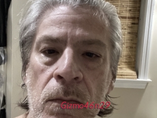Gizmo46n29