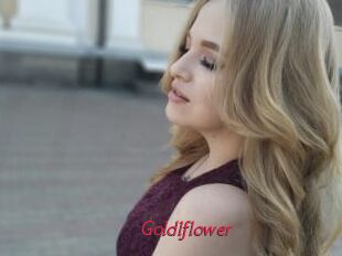 Goldlflower