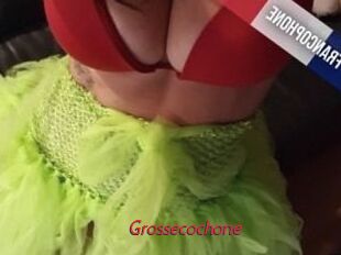 Grossecochone