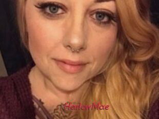 Harlow_Mae