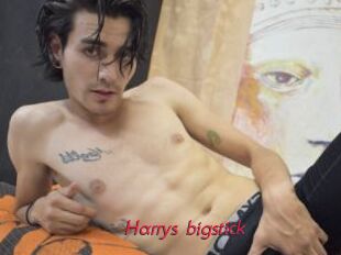 Harrys_bigstick