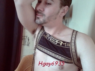 Hgay6935 Red Movie Post