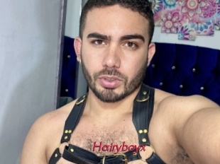 Hairyboyx