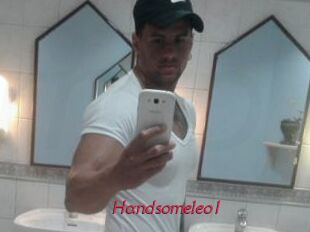 Handsomeleo1