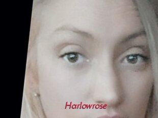 Harlowrose
