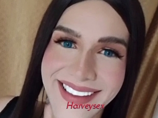 harveysex Red Movie Post