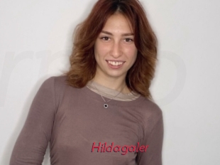 Hildagaler