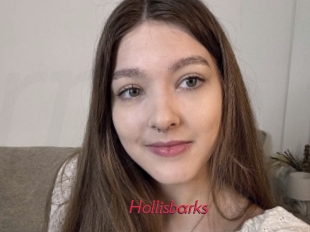Hollisbarks