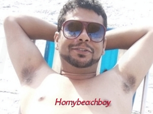 Hornybeachboy