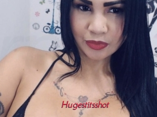 Hugestitsshot