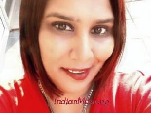 IndianMustang
