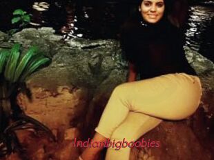 Indianbigboobies