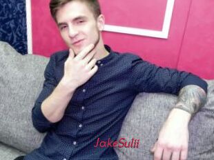 JakeSulii
