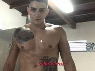 Jake_Sulivan