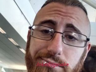 Jakesbigsnake