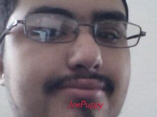 JoePuppy
