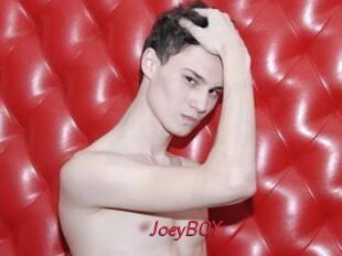 JoeyB0Y