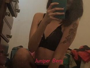 Juniper_Berry