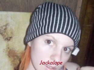 Jackalope