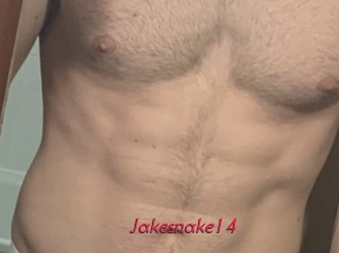 Jakesnake14