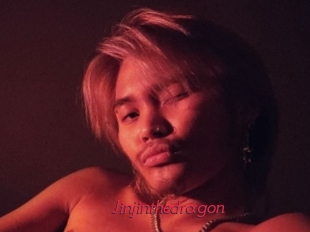 Jinjinthedragon