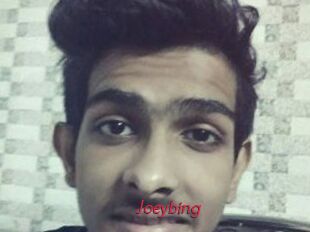 Joeybing