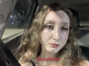 Kandikatie
