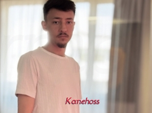 kanehoss Red Movie Post