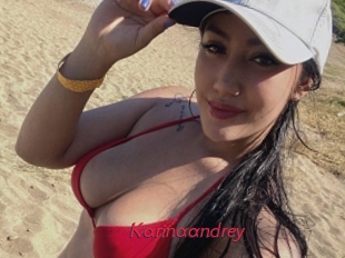 Karinaandrey