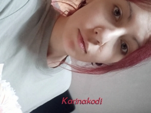 Karinakodi