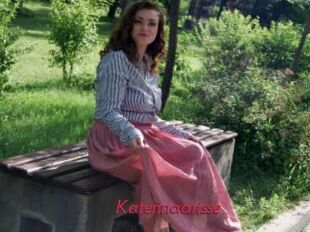 Katerinaarisse