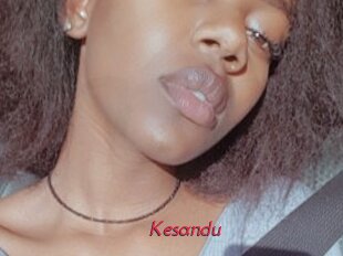 Kesandu