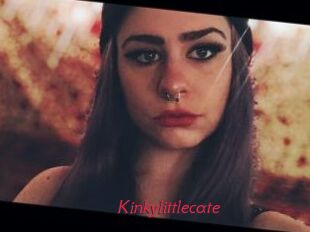 Kinkylittlecate