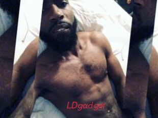 LDgadget