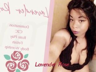 Lavender_Rose