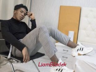 LiamBladek